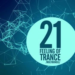21 Feeling Of Trance Multibundle