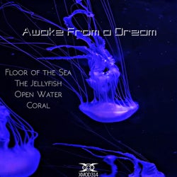 Jellyfish EP