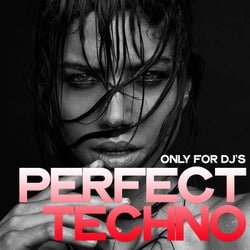 Perfect Techno (Only for DJ's)