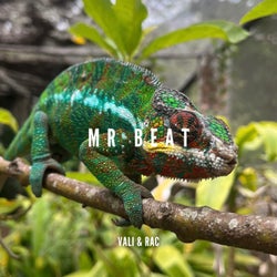 Mr. Beat