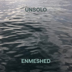 Enmeshed
