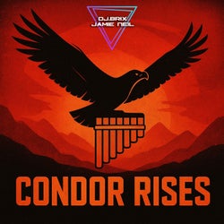 Condor Rises