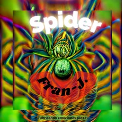 Spider