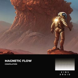 Magnetic Flow