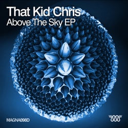 Above The SKy EP