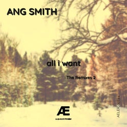 all i want (The Remixes 2)