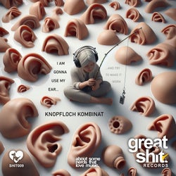 I´m Gonna Use My Ear (And Try To Make It Work)