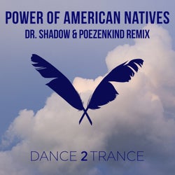 Power of American Natives (Dr. Shadow & Poezenkind Remix)