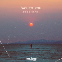 Say To You