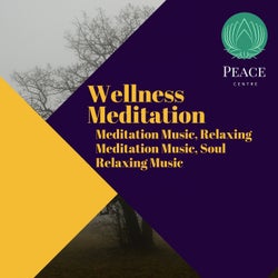 Wellness Meditation (Meditation Music, Relaxing Meditation Music, Soul Relaxing Music)