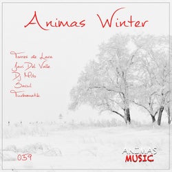 Animas Winter