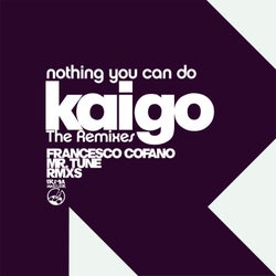 Nothing You Can Do - The Remixes