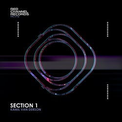 Section 1