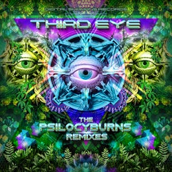 Third Eye (The Psilocyburns Remixes)