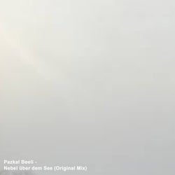 Nebel über dem See (Original Mix)