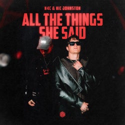All the Things She Said (Extended Mix)