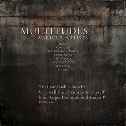 Multitudes