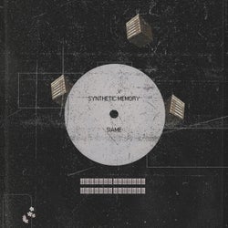 Synthetic Memory