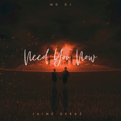 Need You Now (Radio Edit)