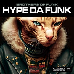 Hype Da Funk