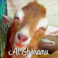 Al Ghonamu