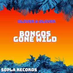 Bongos Gone Wild