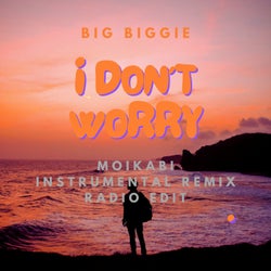 Don't Worry (Moikabi Instrumental Remix Radio Edit)