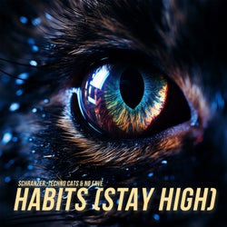 Habits (Stay High) (Schranz)