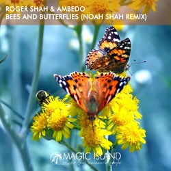Bees And Butterflies - Noah Shah Remix