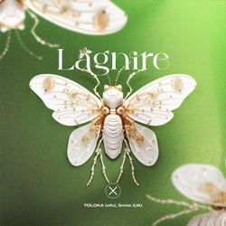 Lagnire