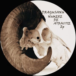Numere De Atractie