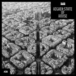 Higher State of House, Vol. 28