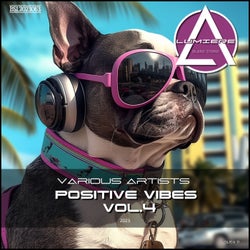 VA Positive Vibes, Vol. 4