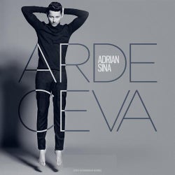 Arde ceva