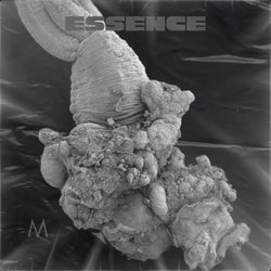 Essence