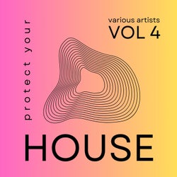 Protect Your House, Vol. 4