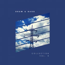 Sliver Recordings: Drum & Bass, Collection, Vol. 8