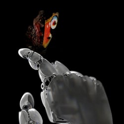 Calibrating Machines