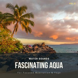 Fascinating Aqua - Water Sounds For Focused Meditation & Yoga, Vol.2