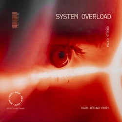 System Overload