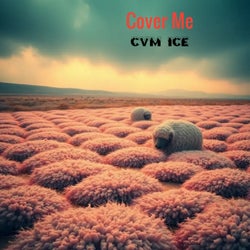 Cover Me