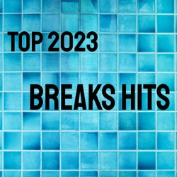 Top 2023 Breaks Hits