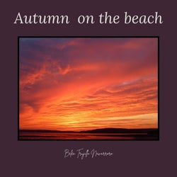 Autum on the Beach