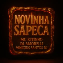 Novinha Sapeca