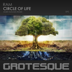 Circle of Life - Amir Hussain Remix