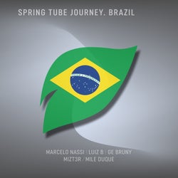 Cover art for Spring Tube Journey. Brazil
