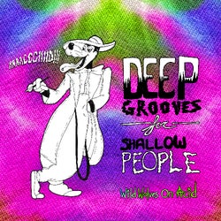 DEEP GROOVES FOR SHALLOW PEOPLE