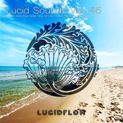 Lucid Sounds, Vol. 45 (A Fine and Deep Sonic Flow of Club House, Electro, Minimal and Techno)