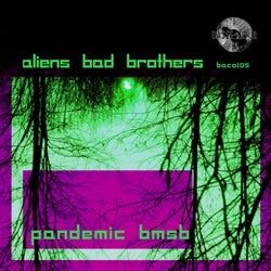 Pandemic BMSB