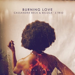 Burning Love (Ronan Remix)